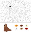 Cartoon walrus. Color by number educational game for kids