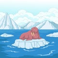 Cartoon walrus on ice floe