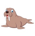 Cartoon walrus