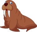 Cartoon walrus