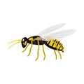 Cartoon wasp character vector illustration