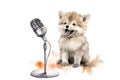 cartoon watercolor wolf with microphone on white background