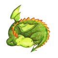 Cartoon watercolour dragon, sleeping dragon. Green dinosaur. Funny and friendly baby tyrannosaurus