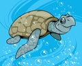 Cartoon waterfowl turtle