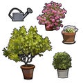 Cartoon watering can and different plants in a cache pot