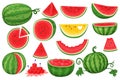 Cartoon watermelon. Natural healthy product, diet juicy fruit. Whole, pieces and sliced, green leaves, fresh semicircles Royalty Free Stock Photo