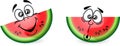 Cartoon watermelon,vector