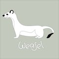Cartoon weasel vector illustration, linig draw ,profile