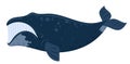 Cartoon whale bowhead, southern right whale, sperm hale. Underwater world, Marine life. Vector illustration of a whale. Royalty Free Stock Photo