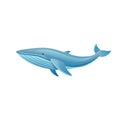 Cartoon whale