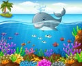 Cartoon whale under the sea