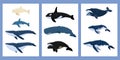 Cartoon whales a set of posters. Beluga, killer whale, humpback whale, cachalot, blue whale, dolphin, bowhead, southern Royalty Free Stock Photo