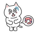 Cartoon white cat having lower abdominal pain, vector illustration.