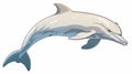 Cartoon White Dolphin Standing On White Background By Mike Mignola Royalty Free Stock Photo