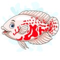 Cartoon white Oscar fish on white background