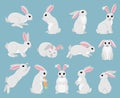 Cartoon white rabbit, cute spring bunny animals. Easter holiday sleeping, jumping and sitting white bunny vector