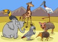 Cartoon wild African animals comic characters group Royalty Free Stock Photo