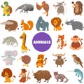 Cartoon wild animal characters big set Royalty Free Stock Photo