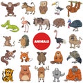 Cartoon wild animal characters big set Royalty Free Stock Photo