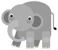 Cartoon wild animal happy young elephant isolated illustration for children