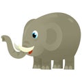 Cartoon wild animal happy young elephant on white background - illustration for the children Royalty Free Stock Photo
