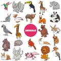 Cartoon wild animal species characters big set Royalty Free Stock Photo