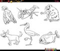 Cartoon wild animals characters set coloring book page