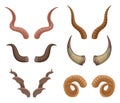 Cartoon wild animals horns. Horned goat, buffalo and ram antlered, ungulates mammals horns flat vector illustration set on white