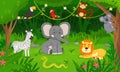 Cartoon wild animals in jungle forest, tropical animal habitat. Cute lion, snake, toucan, monkey, elephant, rainforest vector