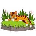 Cartoon wild animals for kids: Tiger. Little cute baby tiger smile