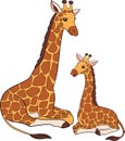 Cartoon wild animals. Mother giraffe with her little cute baby giraffe. They smile Royalty Free Stock Photo