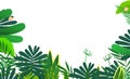 Cartoon wild colorful jungle forest isolated illustration for children