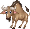 Cartoon Wildebeest mascot isolated on white background