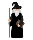 Cartoon wizard vector illustration