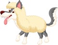Cartoon Wolf in sheep clothing Royalty Free Stock Photo