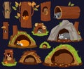 Cartoon woodland animals sleeping inside burrow, hollow, nest. Forest animals resting or hibernate, cute racoon, fox and Royalty Free Stock Photo