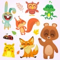 Cartoon woodland animals. Vector illustration. Squirrel, owl, bunny rabbit, frog, chipmunk, fox, bear, ladybug. Isolated Royalty Free Stock Photo