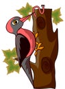 Cartoon woodpecker,vector