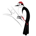 Cartoon woodpecker. Vector illustration on a white background.