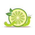 Cartoon worm with lime slice, vector illustration of a happy green bug Royalty Free Stock Photo