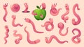 Cartoon worms. Creeping crawlers and bugs with smiling faces exact vector worms collection