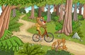 Cartoon yellow baboon monkeys riding bicycle on green forest.