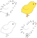 Cartoon yellow chicken. Coloring book and dot to dot game for kids