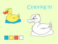 Cartoon Yellow Duck Coloring Picture