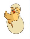 Cartoon yellow newborn chicken in