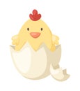 Cartoon yellow newborn chicken in the broken egg shell vector. Royalty Free Stock Photo