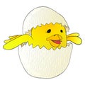 Cartoon yellow newborn chicken in the broken egg shell. Royalty Free Stock Photo