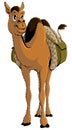 Cartoon Young African Camel With Baggage