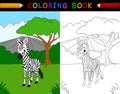 Cartoon zebra coloring book