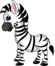 Cartoon Zebra Vector Illustration